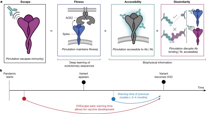 Oxford's New AI Tool EVEscape Predicts Virus Variants Before They Emerge 1 early prediction of antibody escape from generative ai