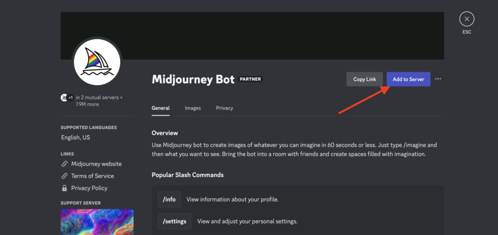 How to Use Midjourney Privately (Tutorial) 7 add midjourney bot to your server